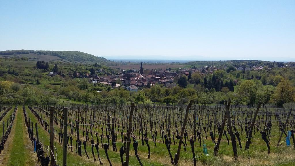 Gite Dans Cite Medievale Boersch Экстерьер фото