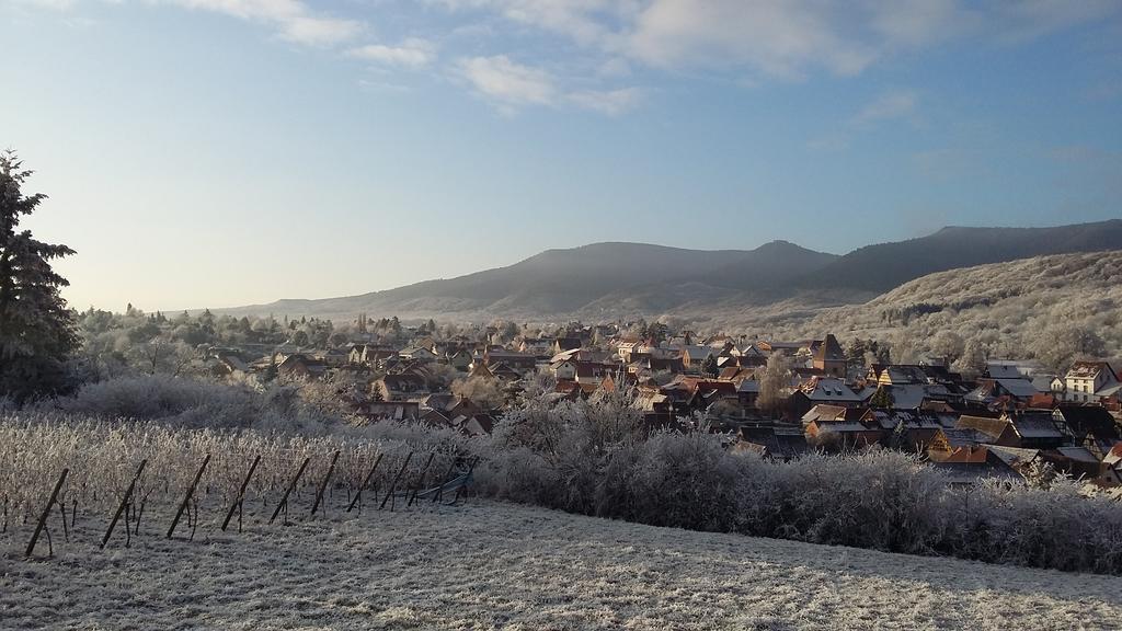 Gite Dans Cite Medievale Boersch Экстерьер фото